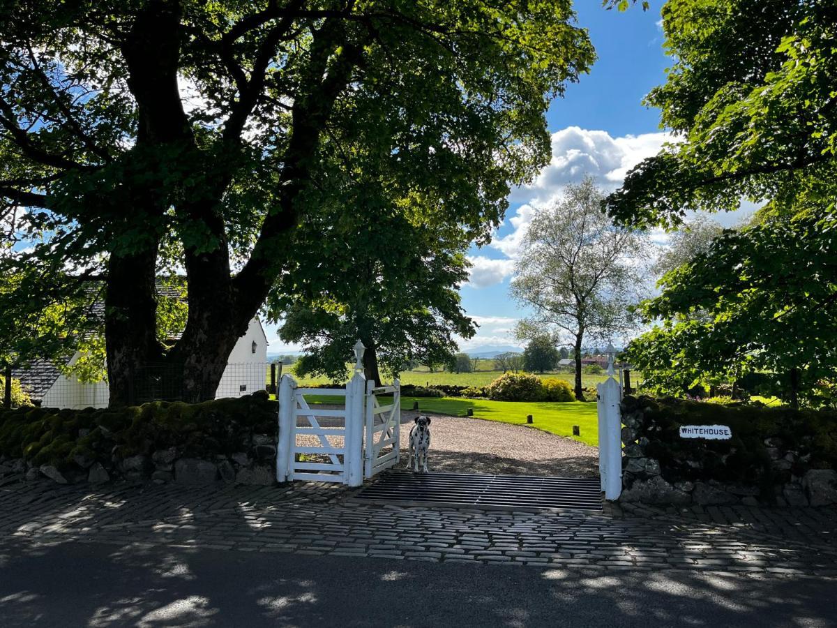 Whitehouse Bed & Breakfast Uplawmoor Exterior photo